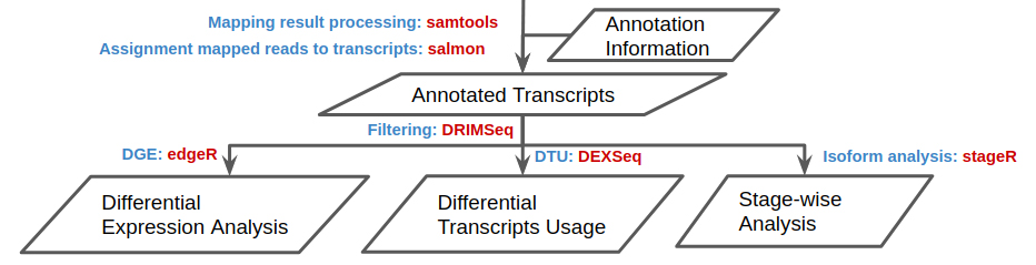 DNA 簡社